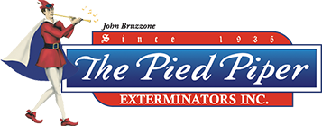 The Pied Piper Exterminators