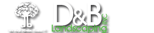 D_B Landscaping, Inc